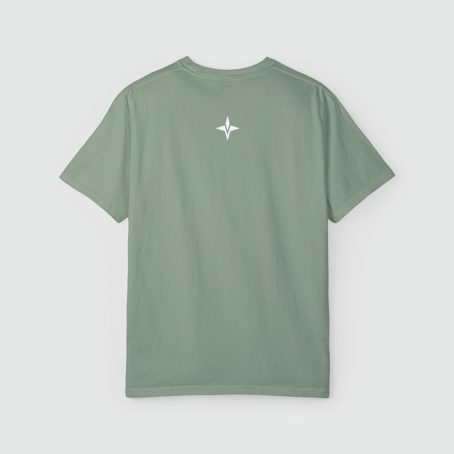Ultra Pump Cover Women's Gym Tee Product Pic Back Bay