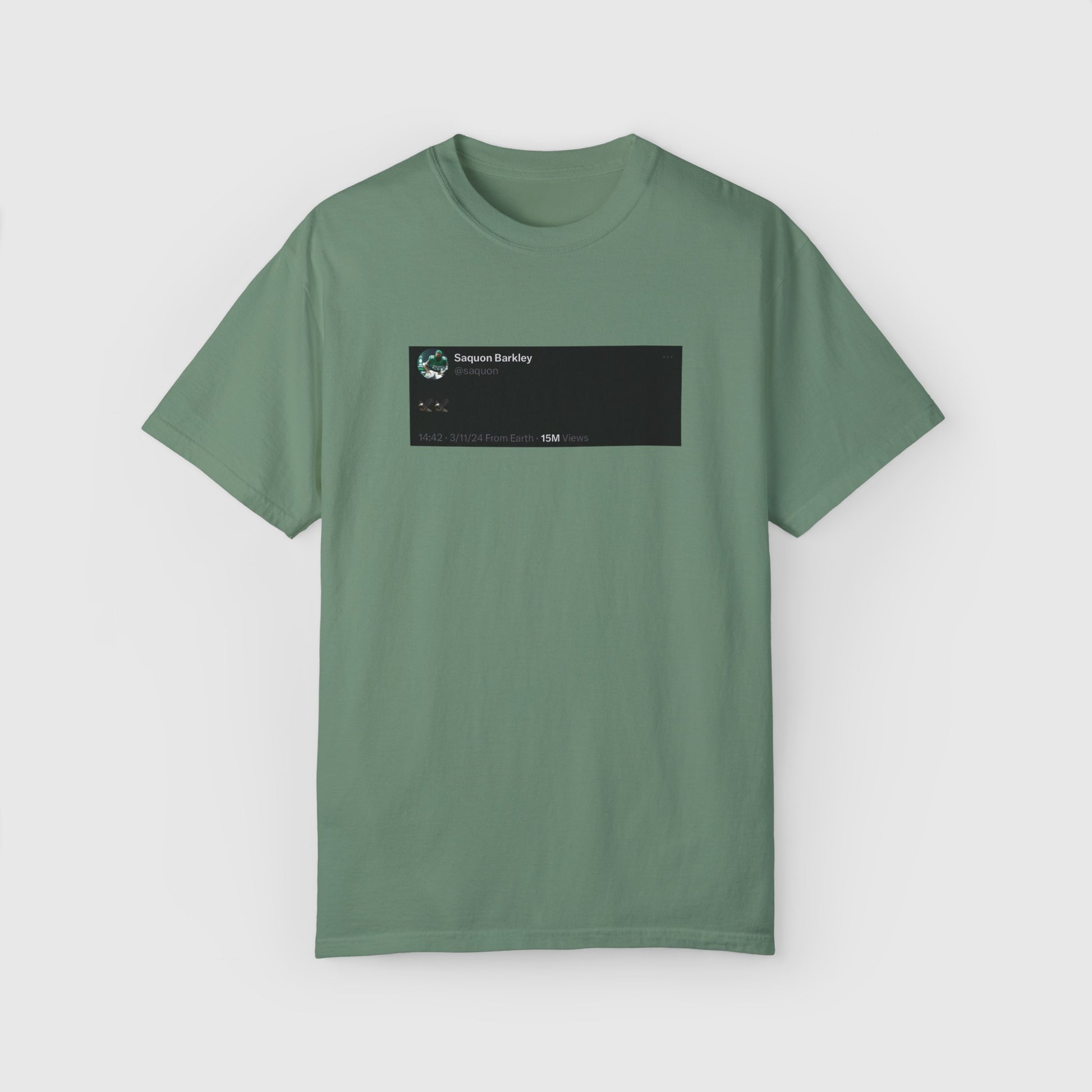 Saquon Barkley Is An Eagle Tweet Tee Product Pic Front Light Green